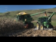 Maize Harvestor Unloads 6 1572